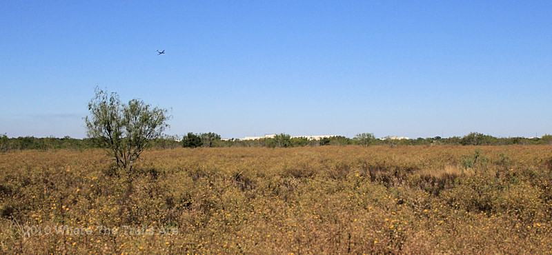 toyota plant near san antonio tx #3