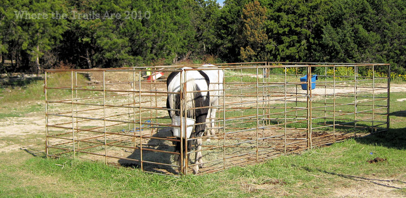 cowboy cabin pens