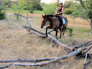 Pinwheel, Charlotte is taking Bruce through the pinwheel obstacle (deadfall which is in a circular type formation).