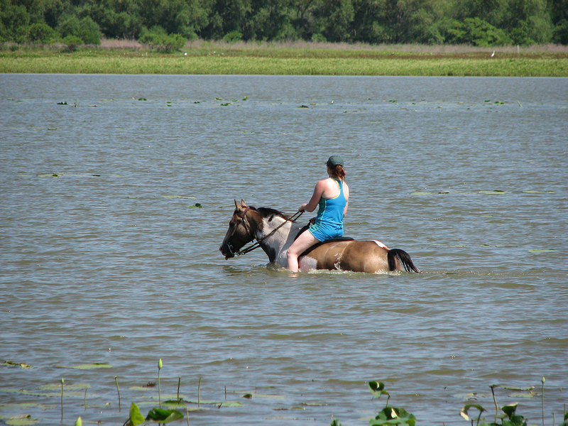 Lake Somerville State Park, Somerville TX