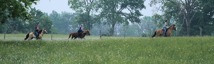 Tarrant Ranch, Bullard TX - Where The Trails Are…