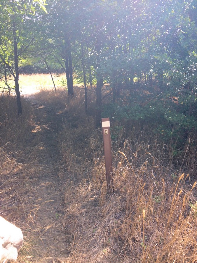 Lake Bardwell, Ennis TX Where The Trails Are…