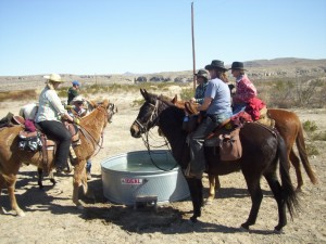 Gathering at the water trough.