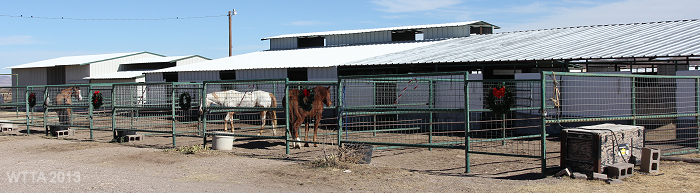 Big Bend Equine Center in Alpine, TX.