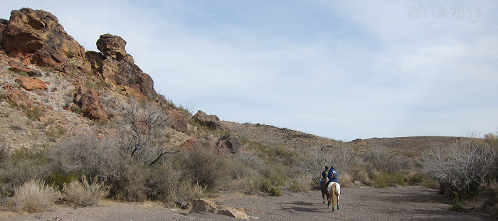 Big bend ranch state park hiking best sale