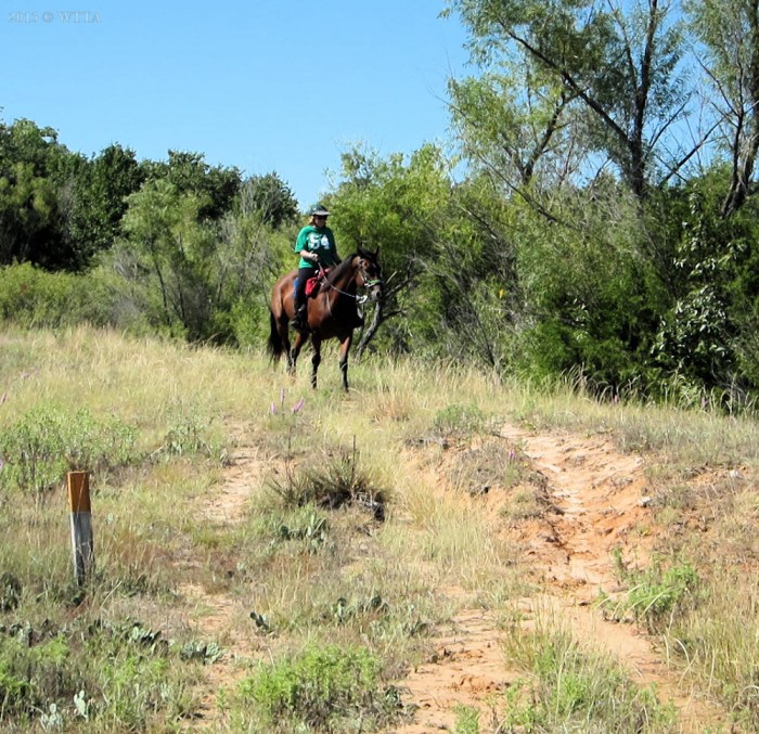 LBJ National Grasslands, Decatur TX Where The Trails Are…