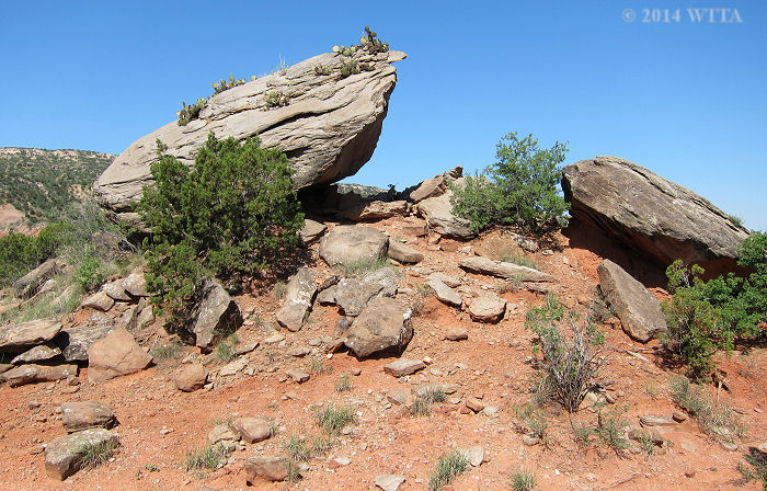 Cactus Rock is another boulder type landmark that can be used to help you find your way along the Equestrian Trail. 