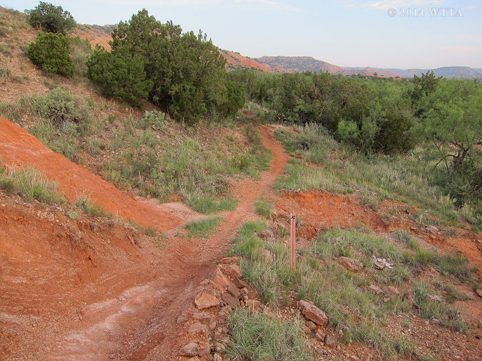 Juniper Cliffside Trail in Palo Duro Canyon State Park. 