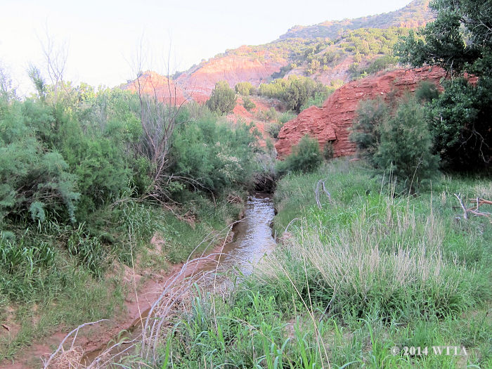 Equestrian Trail creek at Palo Duro Canyon State Park. 