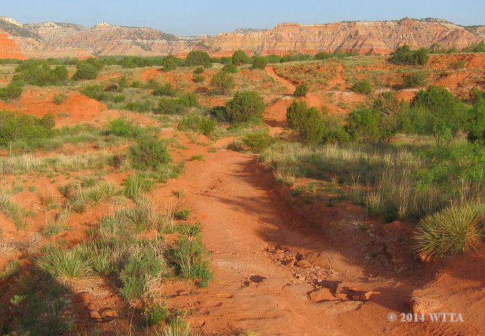 Lighthouse trail in Palo Duro Canyon. 