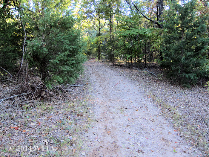 A wide sandy path at Trace Trails. 
