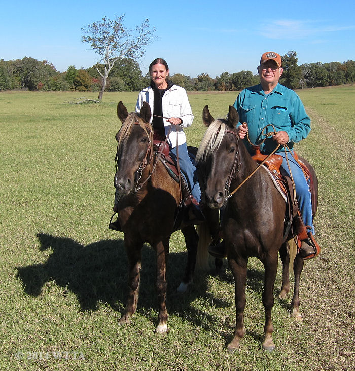 Vern and Shirely live nearby and enjoy riding their Rocky Mountain horses with their riding club, Trail Gaiters and Friends, at Trace Trails. 