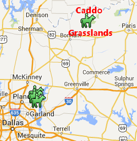 Caddo Grassland map