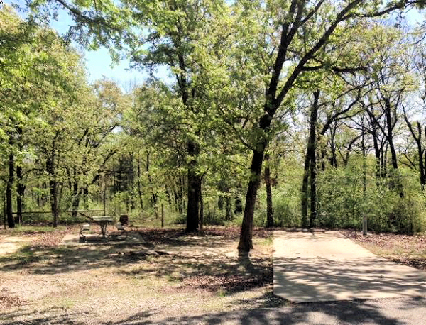 Cooper lake deals state park