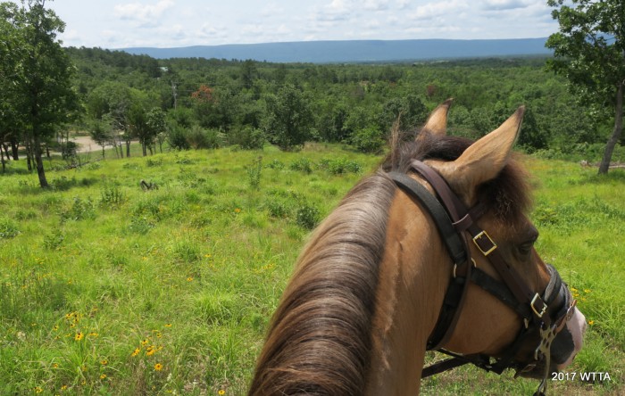 Back at Horse Heaven Campsite after a great ride.  Taking one last look around at the beautiful campground views before getting ready to head home. 