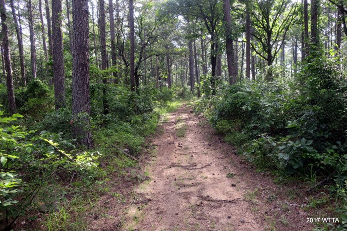 Heading northeast on Trail A.