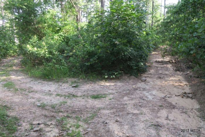 This is the CNT (Comanche Nation Trail) where we went right.  I did not see any trail markers at this intersection. 