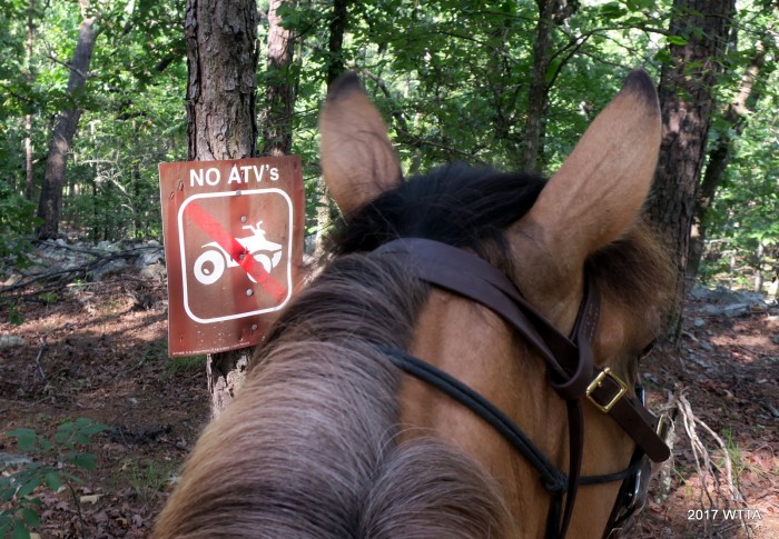 ATV restricted section of the CNT trail. 