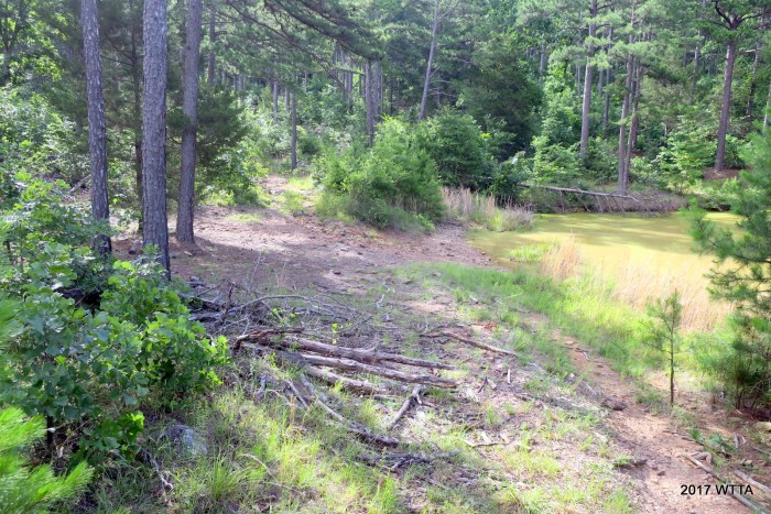 Passing a pond to our right along the CNT. 