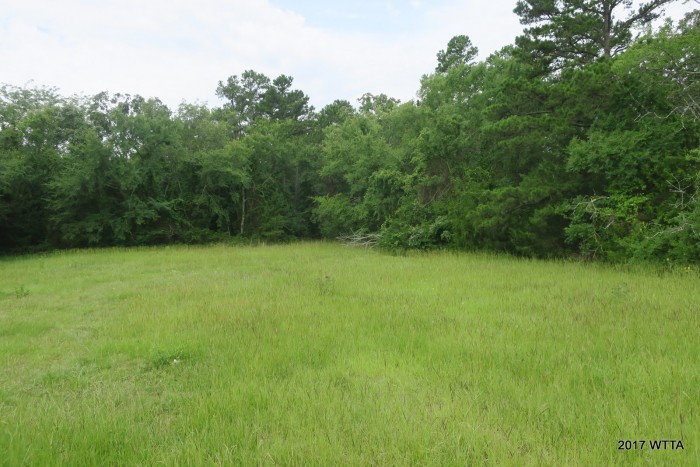 From road 6010 at the house, turn right into this field, keeping the treeline to your right to pick up Flat Head Trail.  Look for the pink ribbons on your right to pick up the trail. 