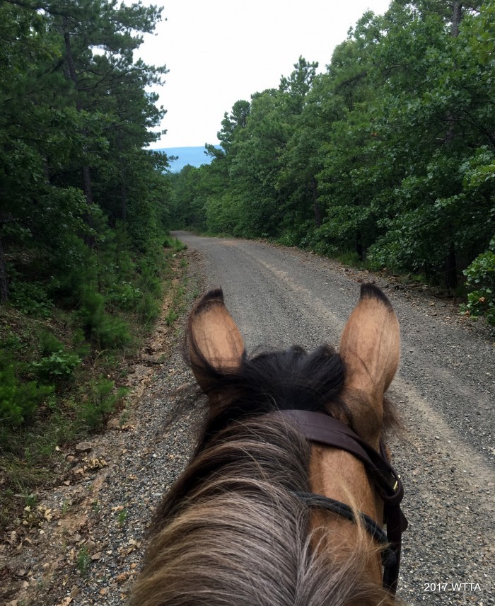 From 6010 heading south, Angel and I are looking at the mountain range ahead. 