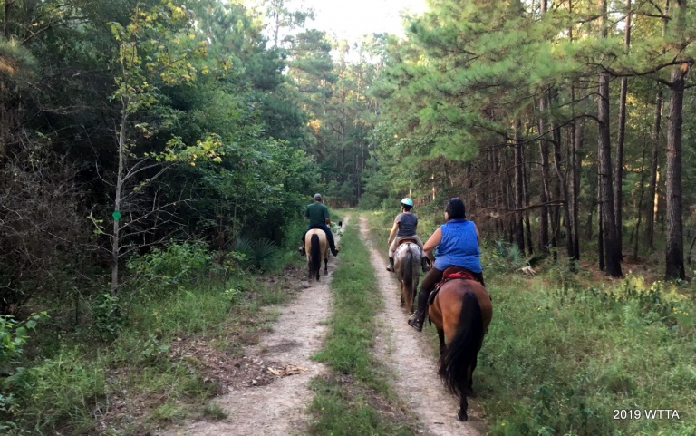 Where The Trails Are… – Equestrian Trails and Campgrounds